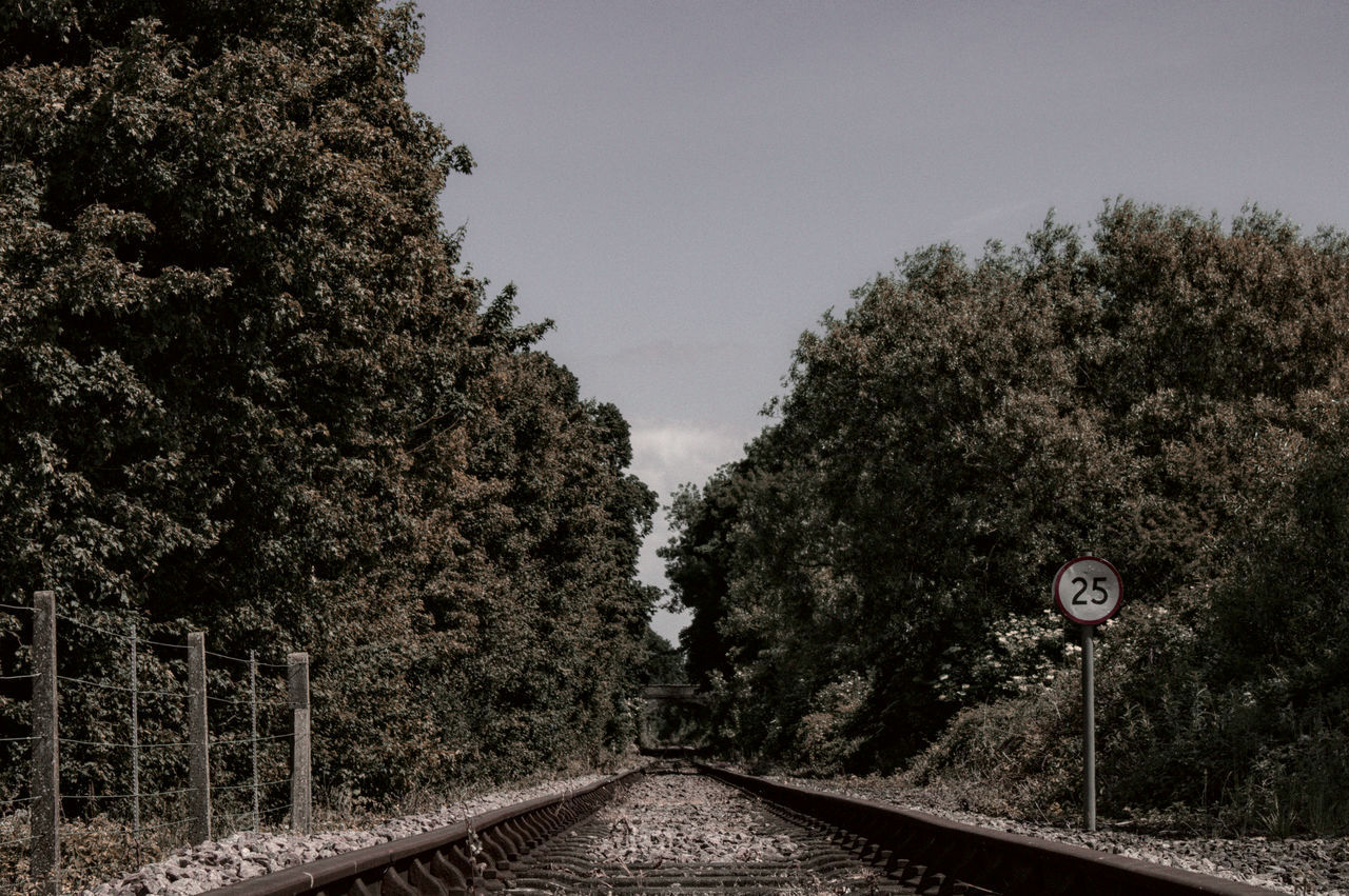 ROAD AMIDST TREES AGAINST SKY