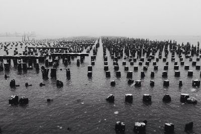 Row of wooden posts in water
