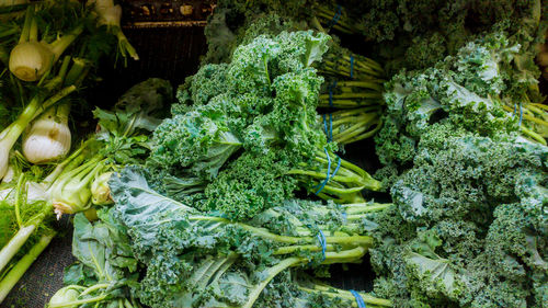 Close-up of vegetables for sale in market