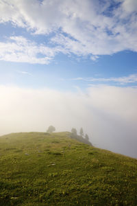 Mist in candanchu, pyrenees, canfranc valley in spain.