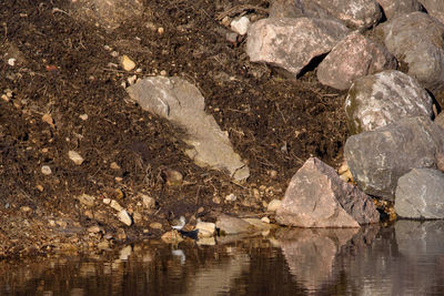 Reflection of rocks in water