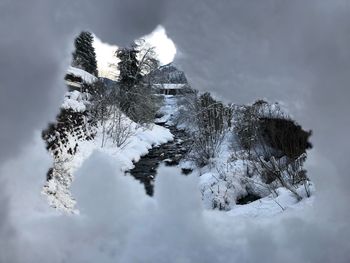 Snow covered trees against sky