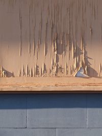 Peeling paint on a wall
