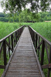 View of wooden footbridge along plants