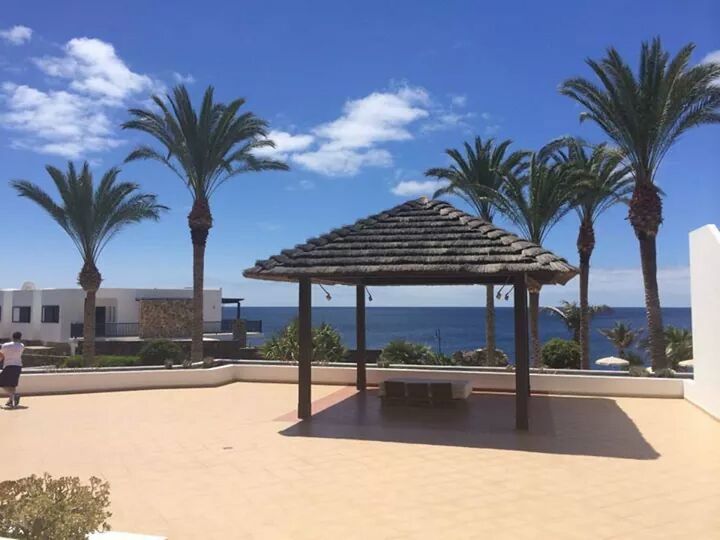 palm tree, sea, beach, tree, sky, horizon over water, tourist resort, sand, built structure, water, swimming pool, sunlight, architecture, shore, tranquility, chair, building exterior, blue, vacations, tranquil scene