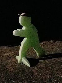 Close-up of insect on leaf at night