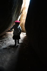 Rear view of man standing on rock