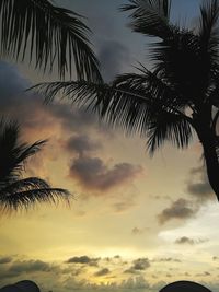 Low angle view of silhouette palm trees against sky