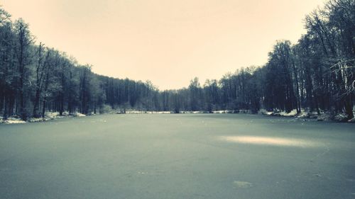 Trees on snow covered landscape against sky