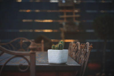 Close-up of potted plant on table