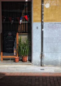 Potted plants on wall