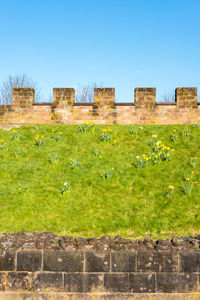 View of old ruins against blue sky