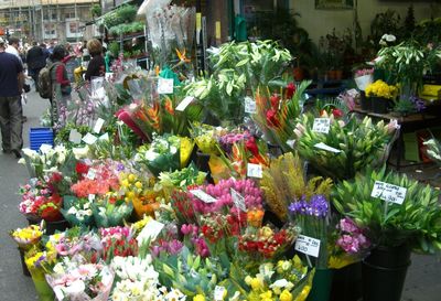 Colorful flowers in market