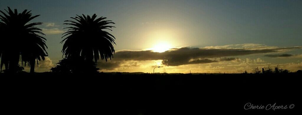 sunset, silhouette, sky, tranquil scene, scenics, tranquility, palm tree, beauty in nature, sun, nature, landscape, idyllic, tree, orange color, cloud - sky, outline, cloud, copy space, outdoors, sunlight