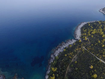 Aerial view of sea by forest