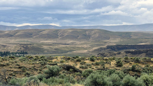 Scenic view of landscape against sky