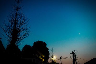 Low angle view of silhouette trees against sky at night