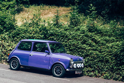 Vintage car on road in forest