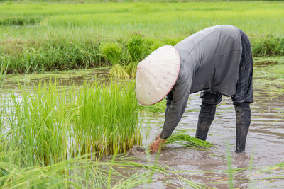 Rear view of man standing on field