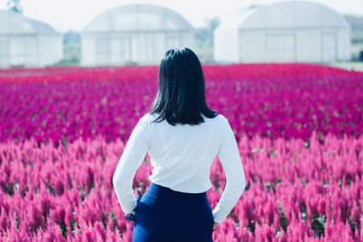 Rear view of woman standing on pink flowering field