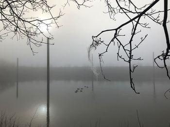 Reflection of tree in lake against sky during foggy weather