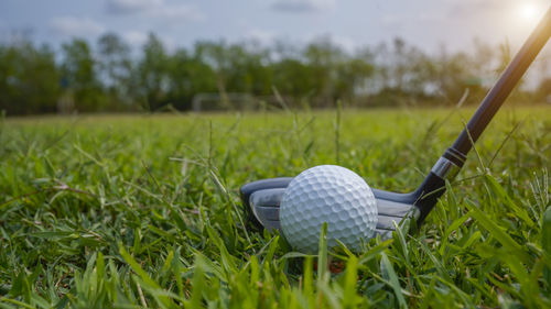 Golf ball on grass