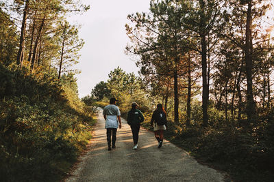 Rear view of people walking in forest