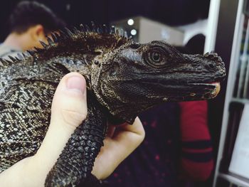 Close-up of person holding hand