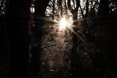 Sun shining through clouds