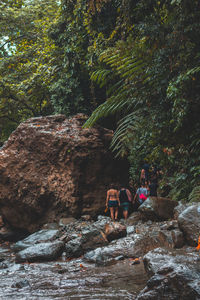 People sitting on rock in forest