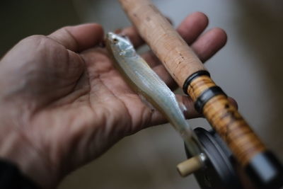 Cropped hand of man holding fish and fishing rod