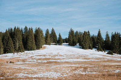 Scenic view of snow covered land against sky