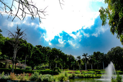 Panoramic shot of trees on field against sky