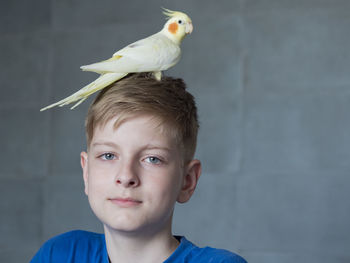 Portrait of boy looking at bird