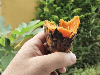 Close-up of hand holding orange leaf