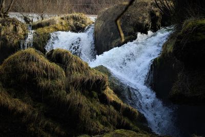 Scenic view of waterfall in forest