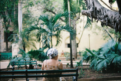Rear view of woman sitting on swimming pool