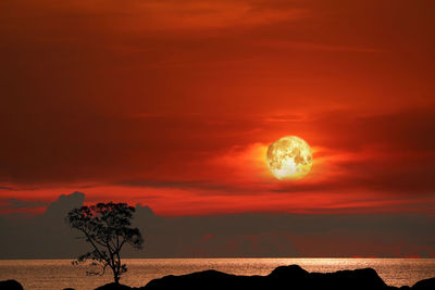 Blood moon and tree on silhouette mountain on sunset sky, elements of this image furnished by nasa