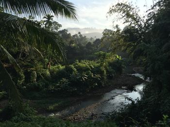 Scenic view of waterfall in forest against sky