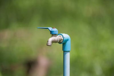 Close-up of bird perching on metal pole