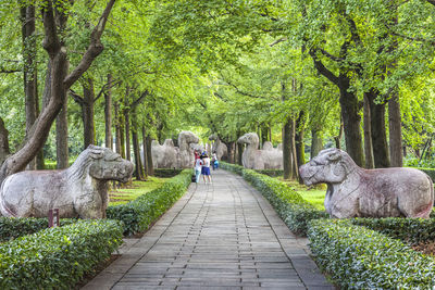 Footpath by statues at ming xiaoling mausoleum