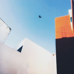 Low angle view of airplane flying in building