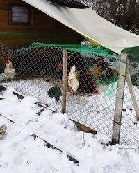 Fence on snow covered landscape during winter