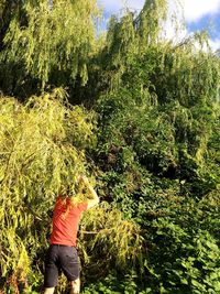 Man standing by tree