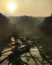 Scenic view of landscape against sky during sunset