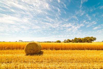 Hay bales on field against sky