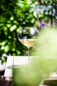 Close-up of wineglass on table