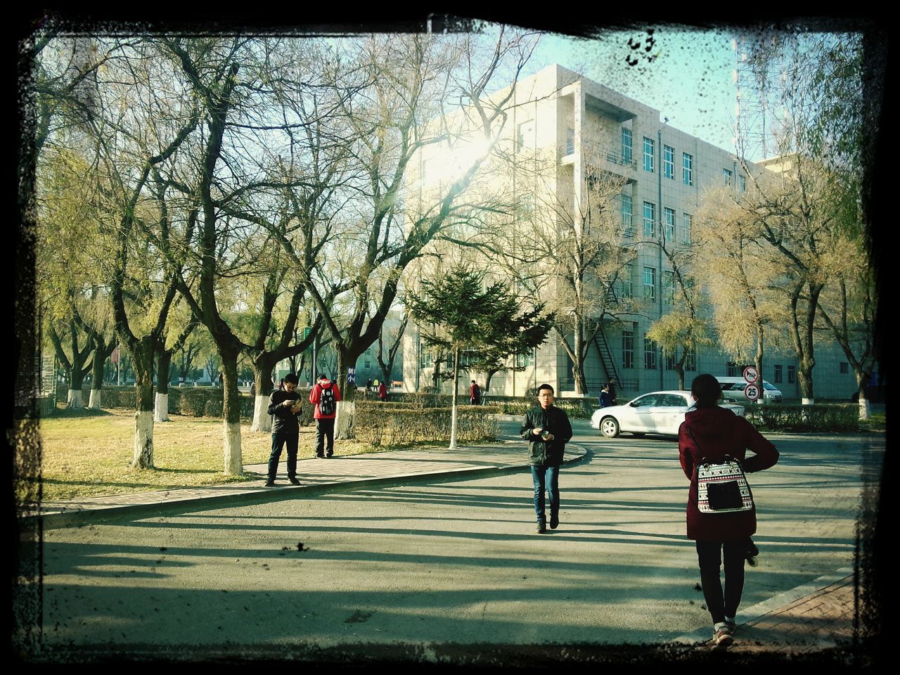 tree, men, transfer print, walking, full length, lifestyles, building exterior, city, person, leisure activity, street, built structure, architecture, city life, auto post production filter, rear view, road, day