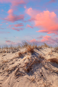 Sunset sky over dunes at lighthouse beach on a sunny day in winter