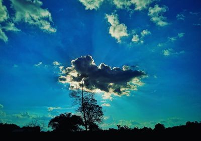 Low angle view of silhouette trees against blue sky